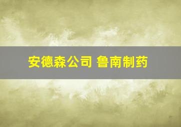 安德森公司 鲁南制药